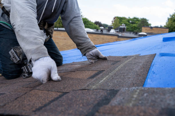 Quick and Trustworthy Emergency Roof Repair Services in Marlboro Meadows, MD