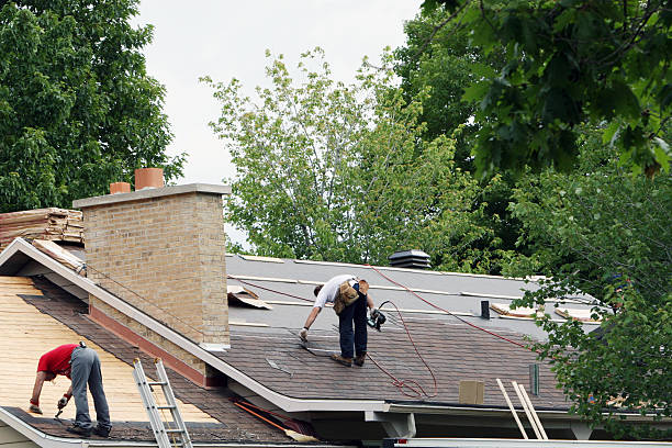 Best Storm Damage Roof Repair  in Marlboro Meadows, MD